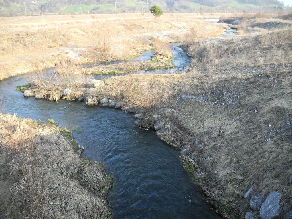 DSCN1261_jpg-1341477283