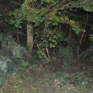 ED_04172012_VU B212 Grossau _12_.JPG