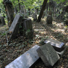 Jüdische Gräber am Zentralfriedhof am 29. Juni 2012 geschändet