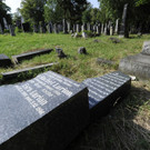 ABD0051-20120629.jpg