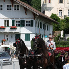 IMG_5017.JPG