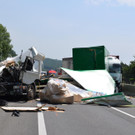 ED_05072012_LKW VU A21  _4_.jpg