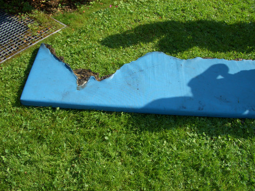 CIMG5219_JPG-1341503493