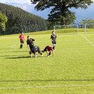 IMG_1895_jpg-1341508809