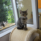 DSC04411.JPG