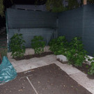 06_07_2012 PI Leobersdorf 2.JPG