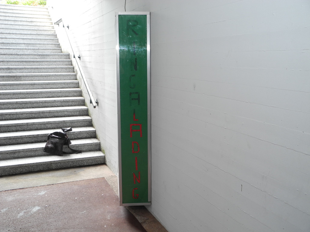 DSCN6341_JPG-1341565208