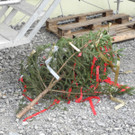 DSCN6382_JPG-1341568217