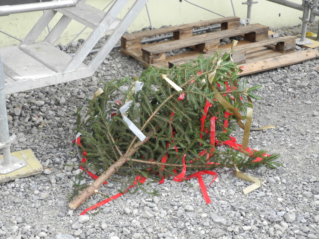 DSCN6382_JPG-1341568217