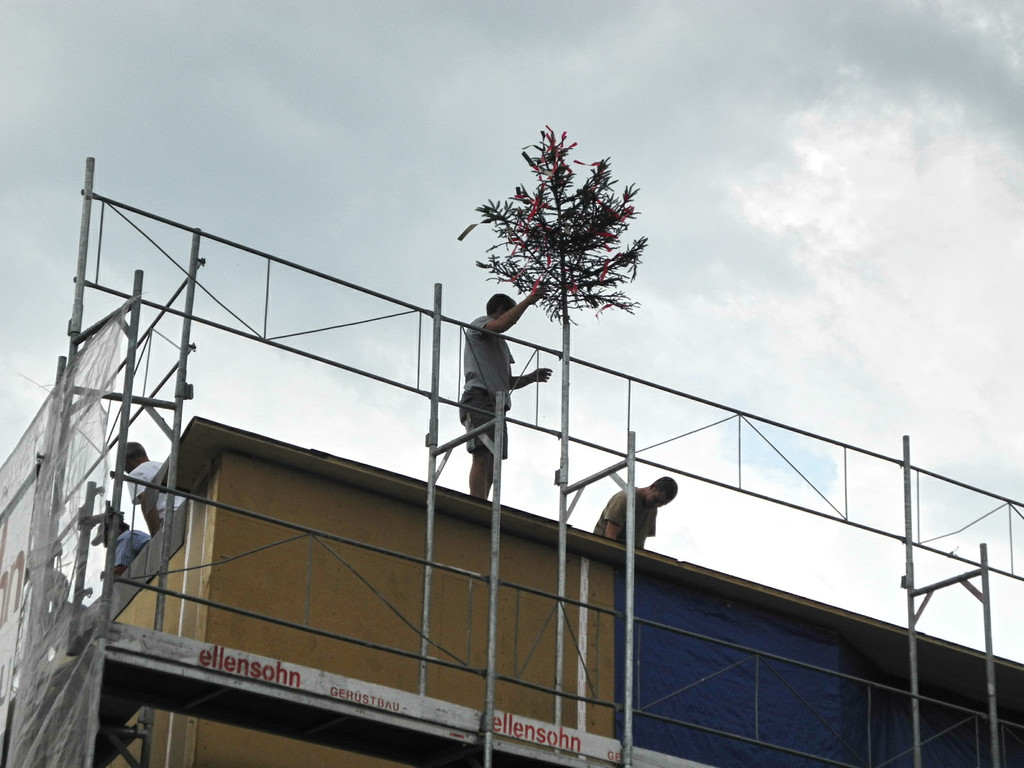 DSCN6388_JPG-1341568327