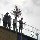 DSCN6390_JPG-1341568381