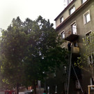 Feuerwehreinsatz 06_07_12_Kei__lergasse_003.jpg