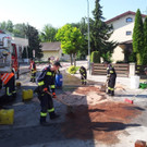 ED_06072012_Enzesfeld_S2 _6_.jpg