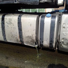 ED_06072012_Enzesfeld_S2 _1_.jpg