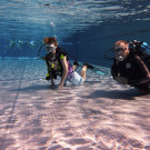 Unterwasser5_jpg-1341586595