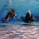 Unterwasser6_jpg-1341586597