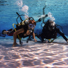 Unterwasser7_jpg-1341586599