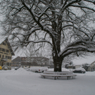 Schnee Bregenzerwald 033.jpg