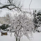 IMG_1392.JPG
