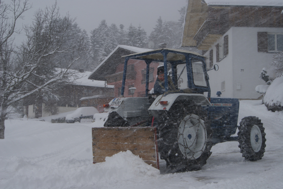 Meinrad Steurer mit Traktor.JPG