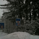 schnee_2010 008.jpg