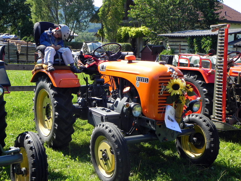 DSCN7465.JPG