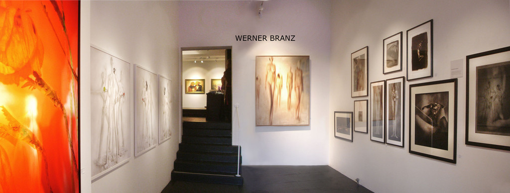 branz14_jpg-1341684878