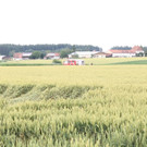 Bilder der Absturzstelle