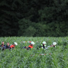 normal_07072012flugzeugde01001aktivnews_018.jpg