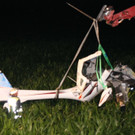 normal_07072012fuschoenbergAKTIVNEWS_204_.JPG