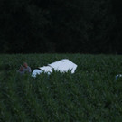 normal_07072012fuschoenbergAKTIVNEWS_5_.JPG