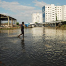 IBD1272-20120707.jpg
