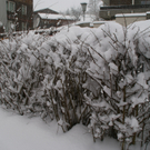 DSC06623.JPG