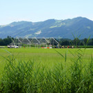 DSC04764_JPG-1341741238