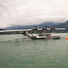 Scalaria07071204.jpg