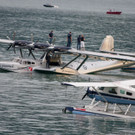 Scalaria07071250.jpg