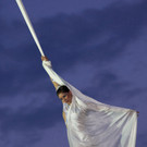 Scalaria07071262.jpg