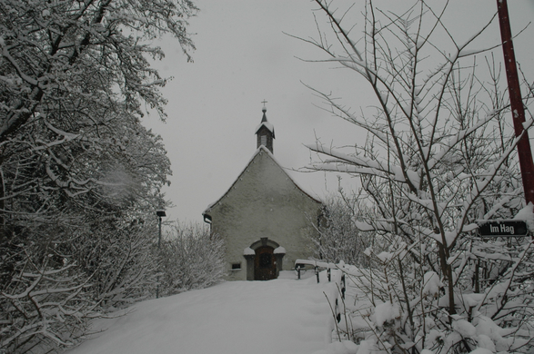 DSC_0489.JPG