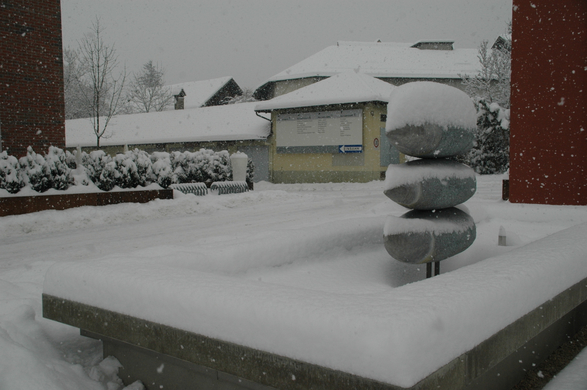 DSC_0459.JPG