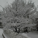 DSC_0472.JPG