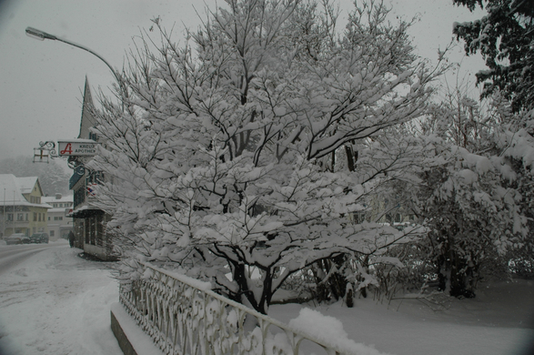 DSC_0472.JPG