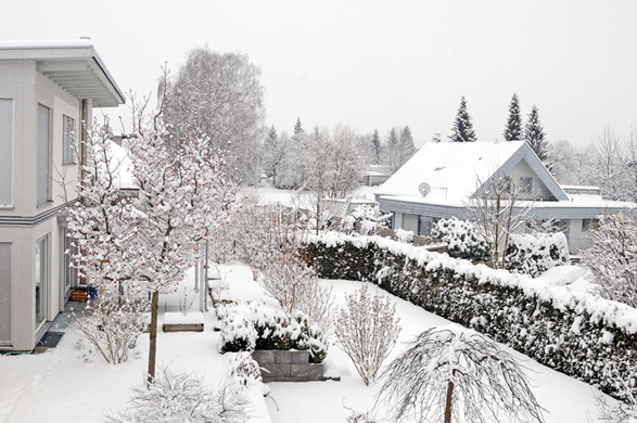 Fu__ach Schnee 11.jpg