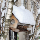 Fu__ach Schnee 12.jpg