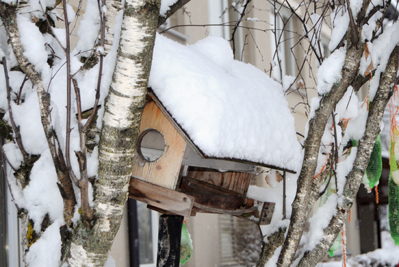 Fu__ach Schnee 12.jpg