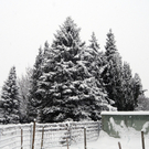 H__chst Schnee 2.jpg