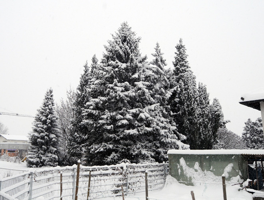 H__chst Schnee 2.jpg