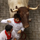 DAB1185-20120708.jpg