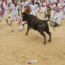 DAB1152-20120708.jpg