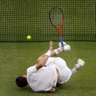 IBD0932-20120708.jpg