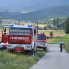 Waldbrand in Bezirk Wiener Neustadt (08.07.12)